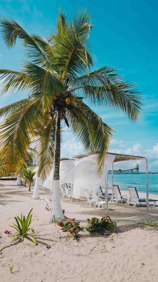 Makary Beach Tolu By Bernalo Hotels Eksteriør billede